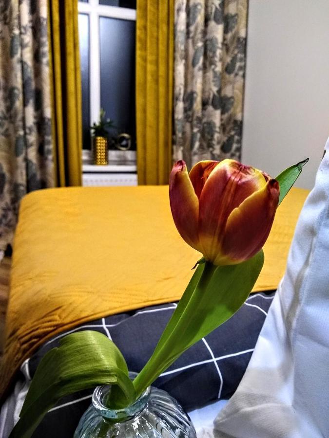 Evitadelux Slowackiego 50Mgaleria Katowice Exteriör bild